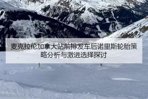 mai-ke-la-lun-jia-na-da-zhan-qian-pai-fa-che-hou-nuo-li-si-lun-tai-ce-lve-fen-xi-yu-ji-jin-xuan-ze-tan-tao-2-716.jpg